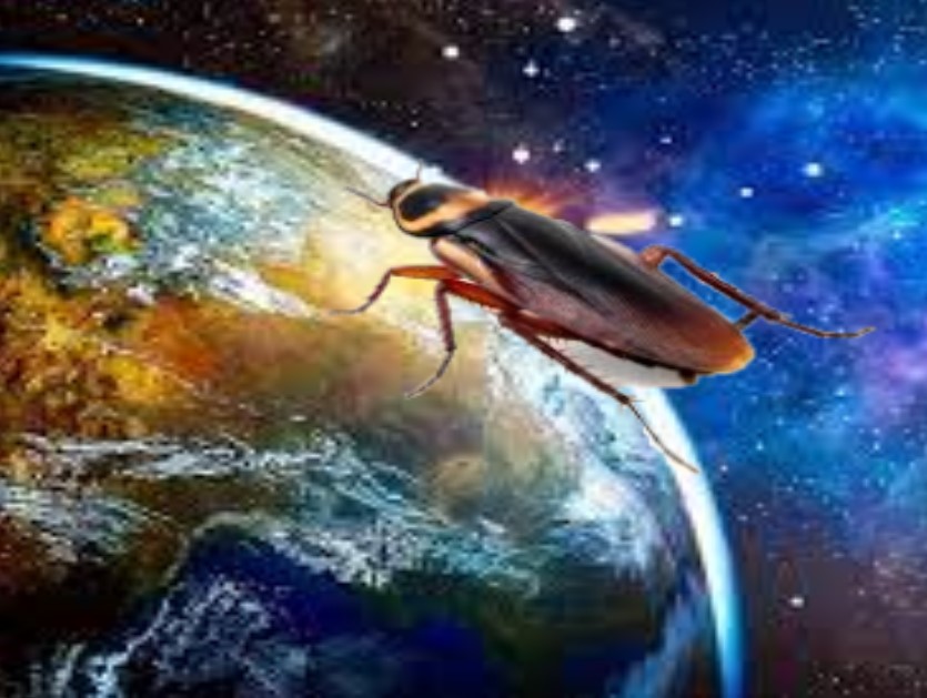 karaluch kosmita zmierzający w kierunku Ziemi.