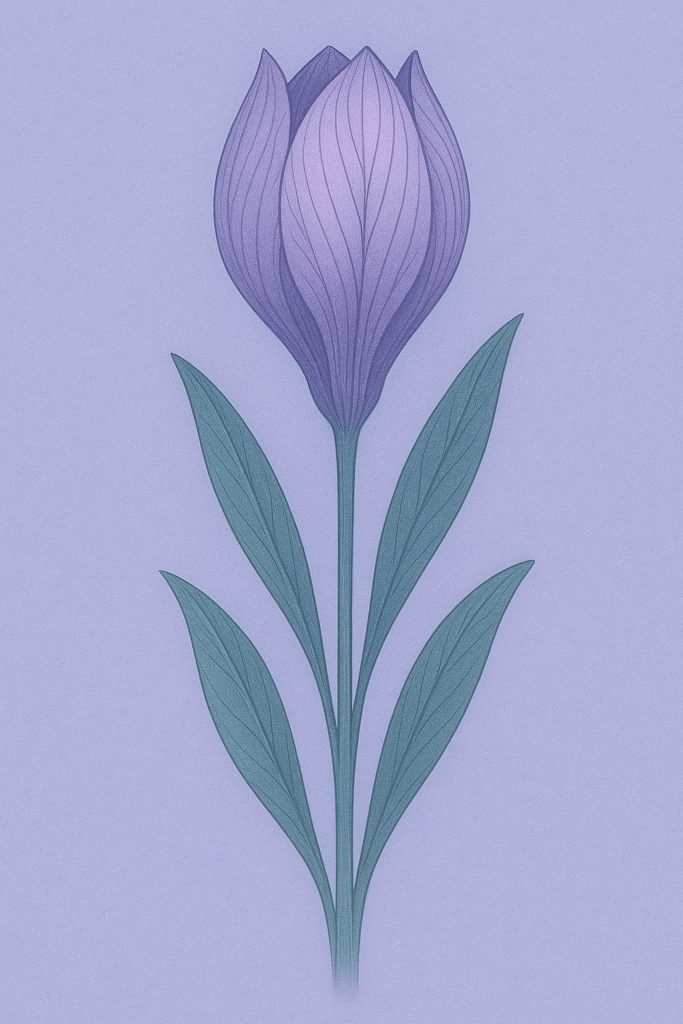 Ilustracja atlasowa przedstawia kwiat Prioris Anioris o charakterystycznym, zamkniętym kielichu przypominającym tulipana. Płatki są mleczno-purpurowe z cienkimi fioletowymi żyłkami i mają woskową, gładką strukturę. Kielich jest smukły, o harmonijnym kształcie, delikatnie zwężający się ku podstawie. Liście są wąskie, lancetowate i głęboko zielono-niebieskie, równomiernie rozłożone po obu stronach łodygi. Tło pastelowe, chłodne, w tonacji fioletowo-niebieskiej, nadaje obrazowi spokojny, naukowy charakter typowy dla atlasów roślin z planety UXologic.